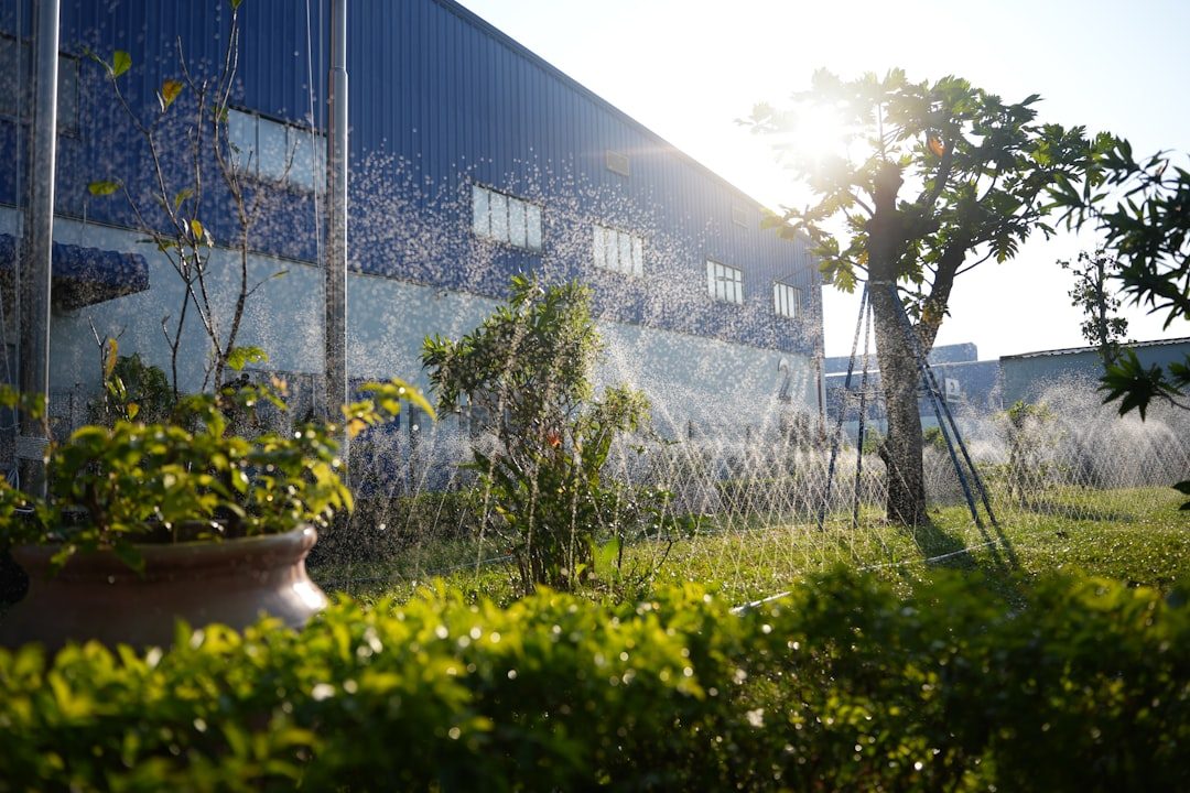 How to Build a Lawn Watering Schedule That Actually Works