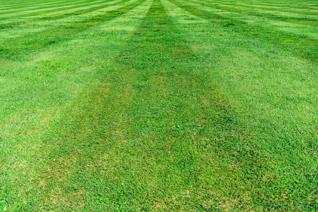Scotts Turf Builder Triple Action Instructions: Complete Application Guide