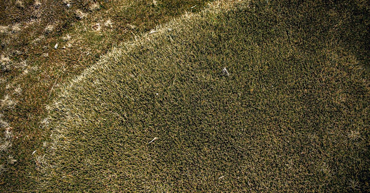 Timing: Best Seasons to Put Top Soil on Top of Grass photo