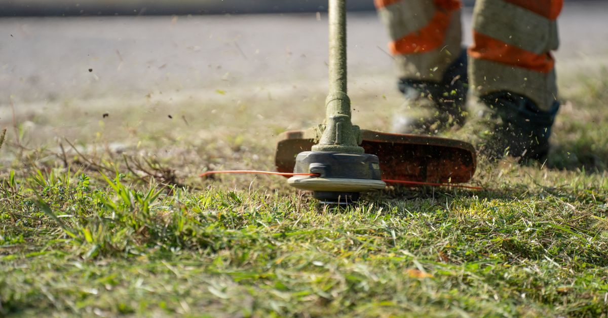 Lawn Care Cost Estimates 2026: Average Prices by Region