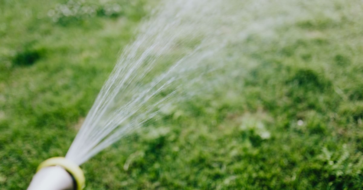 How Often to Water New Grass Seed (Stage-by-Stage Schedule)
