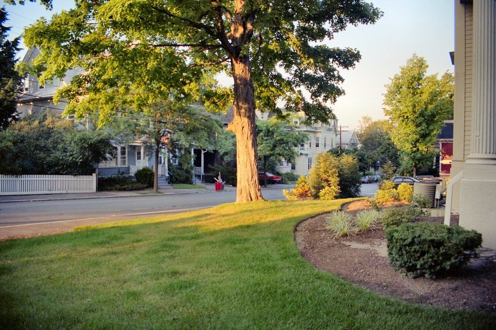 California Spring Lawn Care 101 Expert Guide