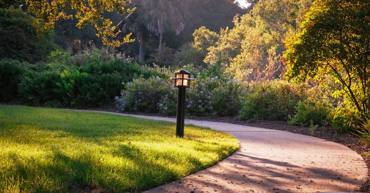 Best Fertilizers for a Green Lawn This July