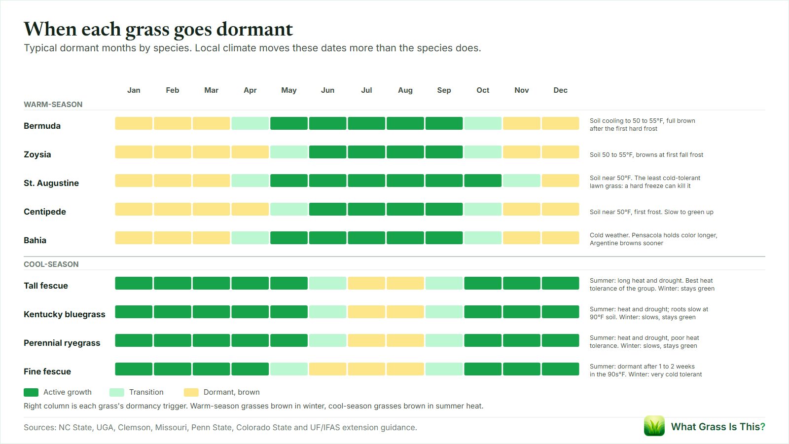 Dormancy calendar for nine grasses. Bermuda, zoysia, centipede and bahia brown November through March or April, St. Augustine December to March, and cool-season grasses brown in July and August heat.