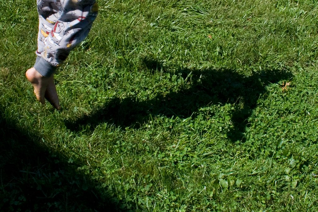 Fertilizing lawn grass
