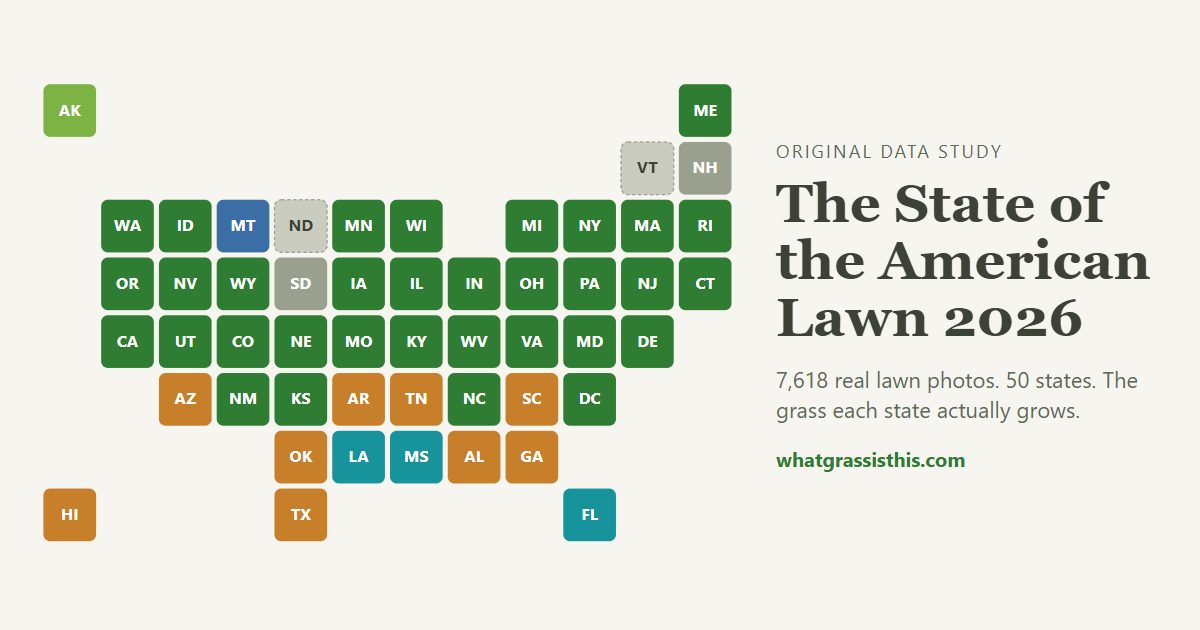 The State of the American Lawn 2026: What 7,618 Real Lawn Photos Reveal About America's Grass