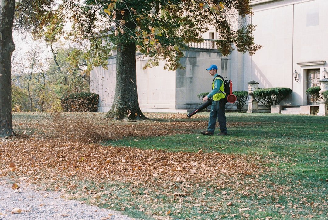 Yard Cleanup: The Complete Guide for Fall, Spring, and Everything Between